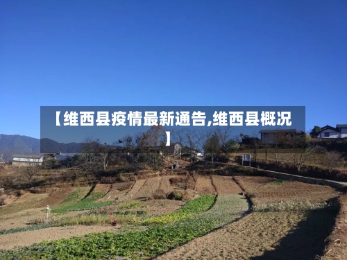 【维西县疫情最新通告,维西县概况】