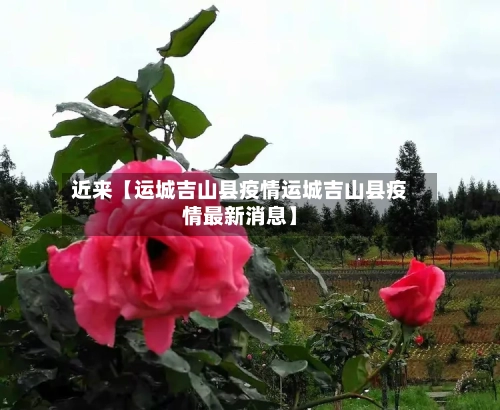 近来【运城吉山县疫情运城吉山县疫情最新消息】-第2张图片