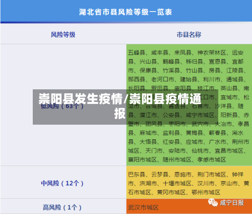 崇阳县发生疫情/崇阳县疫情通报-第3张图片