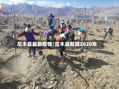 尼木县最新疫情/尼木县新闻2020年