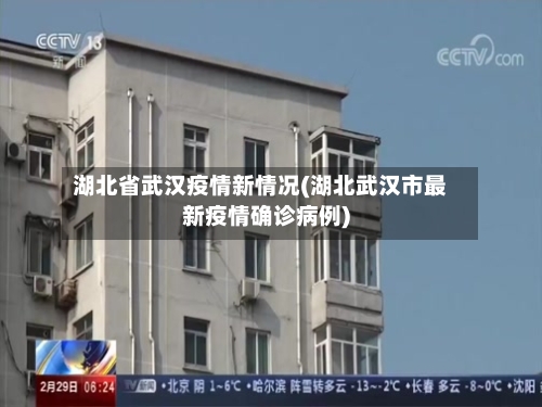 湖北省武汉疫情新情况(湖北武汉市最新疫情确诊病例)