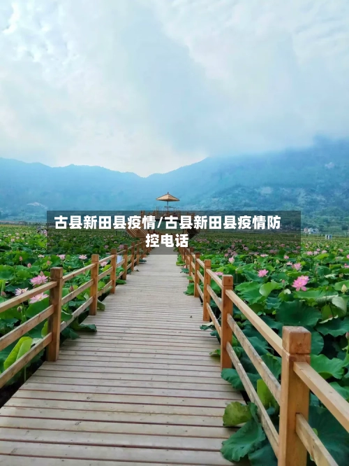 古县新田县疫情/古县新田县疫情防控电话