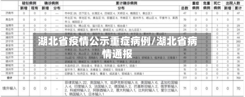 湖北省疫情公示重症病例/湖北省病情通报-第3张图片