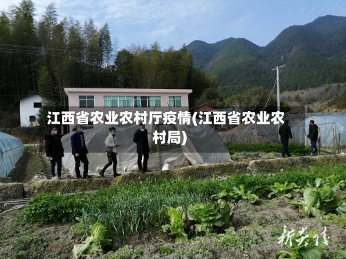 江西省农业农村厅疫情(江西省农业农村局)