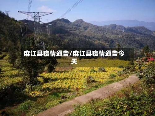 麻江县疫情通告/麻江县疫情通告今天-第3张图片