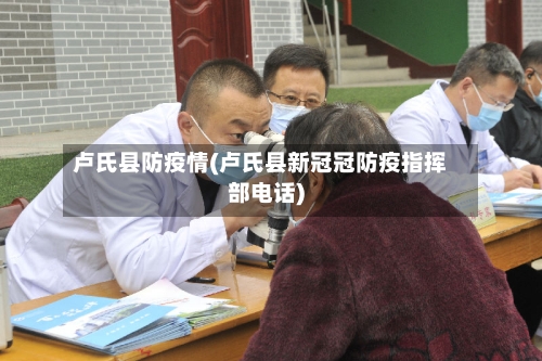 卢氏县防疫情(卢氏县新冠冠防疫指挥部电话)-第2张图片