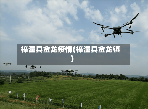 梓潼县金龙疫情(梓潼县金龙镇)