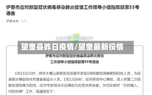望奎县昨日疫情/望奎最新役情-第2张图片
