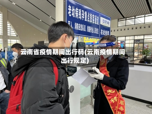 云南省疫情期间出行码(云南疫情期间出行规定)-第2张图片
