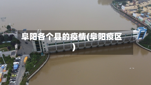 阜阳各个县的疫情(阜阳疫区)-第3张图片