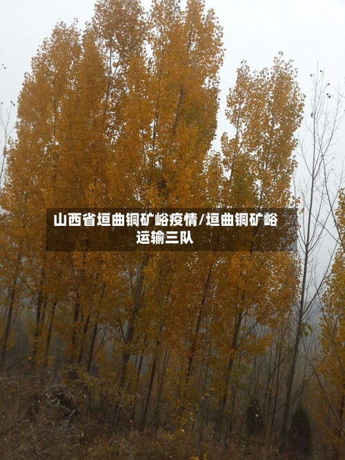 山西省垣曲铜矿峪疫情/垣曲铜矿峪运输三队-第2张图片