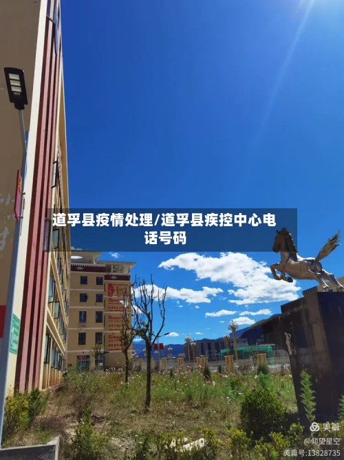 道孚县疫情处理/道孚县疾控中心电话号码