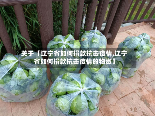 关于【辽宁省如何捐款抗击疫情,辽宁省如何捐款抗击疫情的物资】-第2张图片