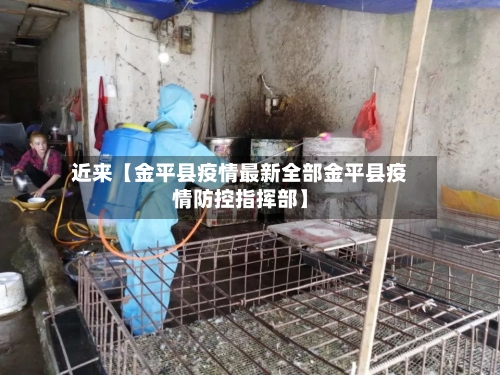 近来【金平县疫情最新全部金平县疫情防控指挥部】