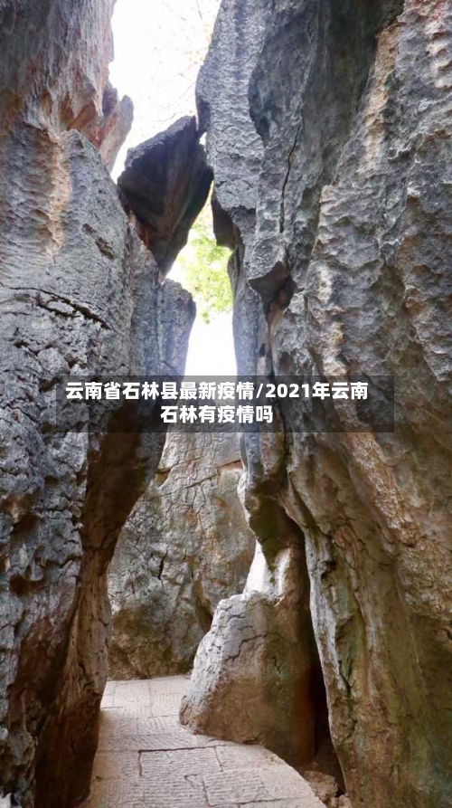 云南省石林县最新疫情/2021年云南石林有疫情吗-第3张图片