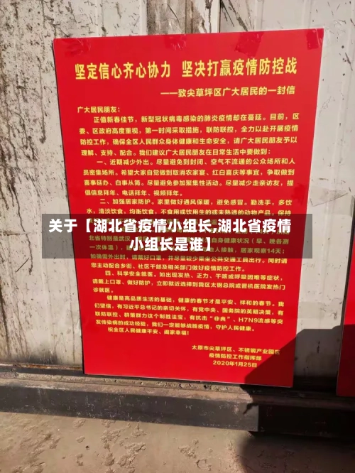 关于【湖北省疫情小组长,湖北省疫情小组长是谁】
