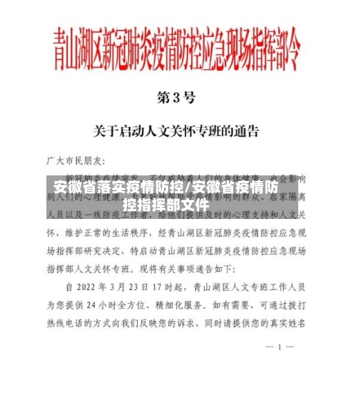 安徽省落实疫情防控/安徽省疫情防控指挥部文件