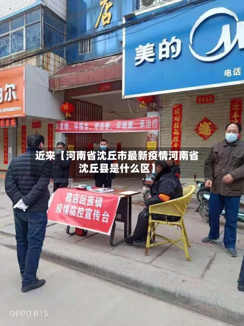 近来【河南省沈丘市最新疫情河南省沈丘县是什么区】-第3张图片