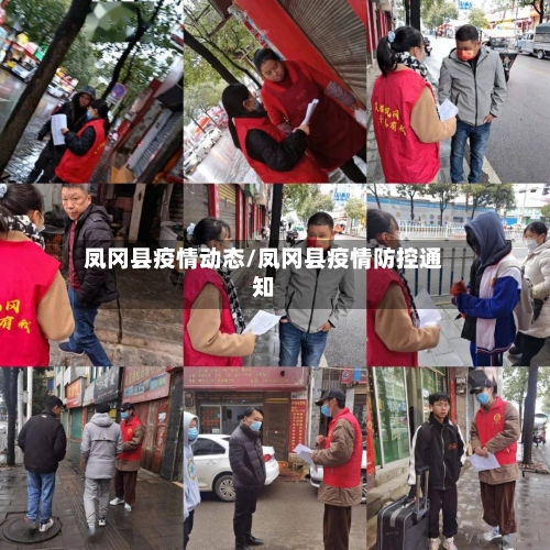 凤冈县疫情动态/凤冈县疫情防控通知