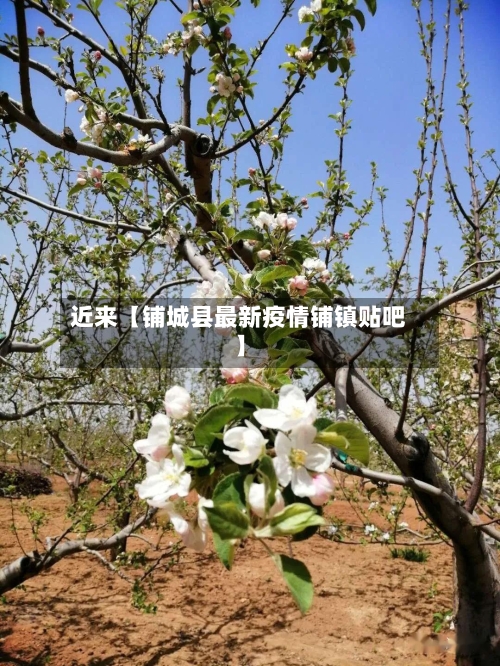 近来【铺城县最新疫情铺镇贴吧】-第2张图片