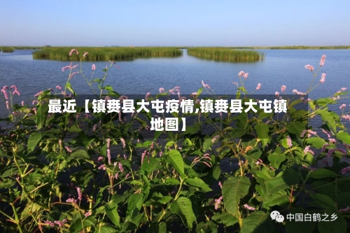 最近【镇赉县大屯疫情,镇赉县大屯镇地图】