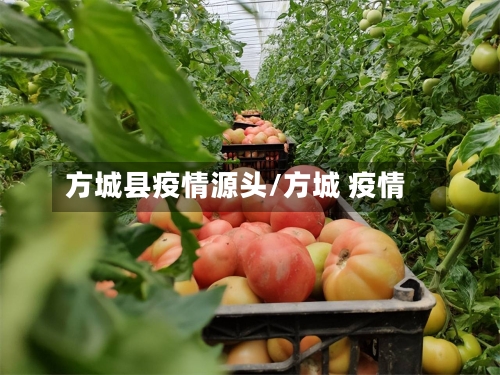 方城县疫情源头/方城 疫情-第2张图片