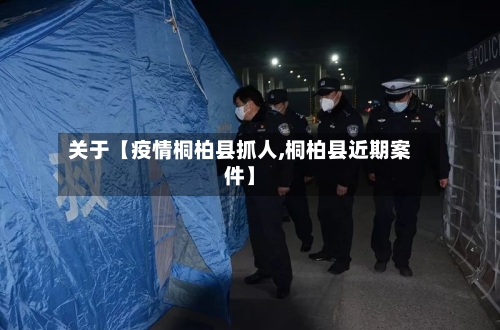 关于【疫情桐柏县抓人,桐柏县近期案件】-第2张图片