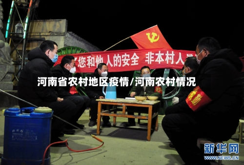 河南省农村地区疫情/河南农村情况