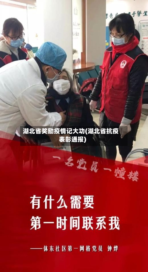 湖北省奖励疫情记大功(湖北省抗疫表彰通报)