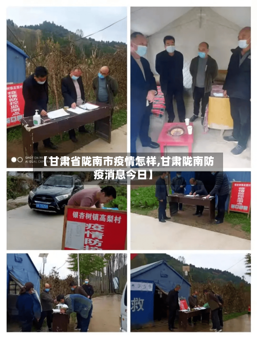 【甘肃省陇南市疫情怎样,甘肃陇南防疫消息今日】-第3张图片