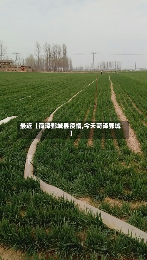 最近【荷泽鄄城县疫情,今天菏泽鄄城】-第3张图片