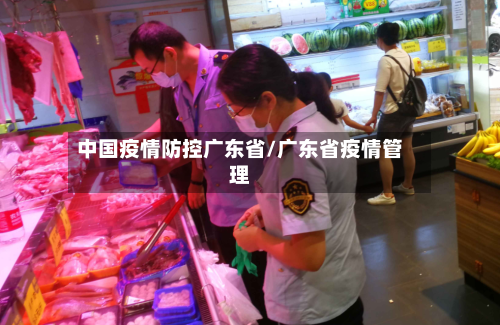 中国疫情防控广东省/广东省疫情管理