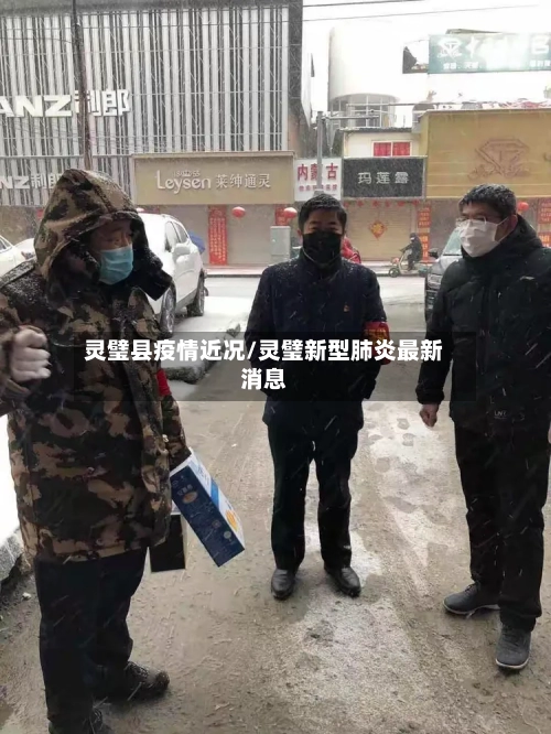 灵璧县疫情近况/灵璧新型肺炎最新消息-第2张图片