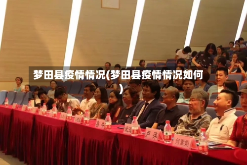 梦田县疫情情况(梦田县疫情情况如何)-第2张图片