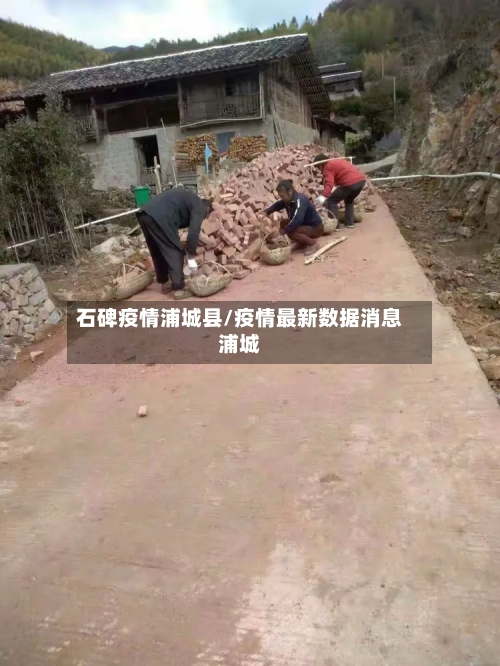 石碑疫情浦城县/疫情最新数据消息浦城