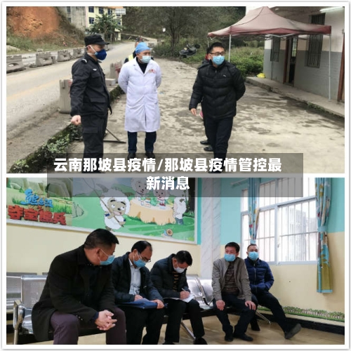 云南那坡县疫情/那坡县疫情管控最新消息-第3张图片