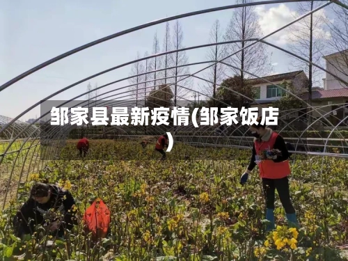 邹家县最新疫情(邹家饭店)-第2张图片