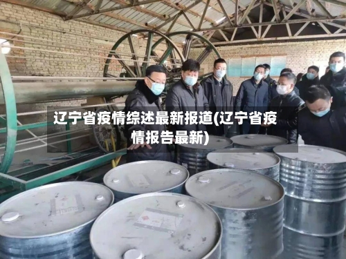 辽宁省疫情综述最新报道(辽宁省疫情报告最新)