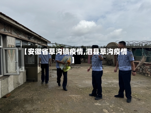 【安徽省草沟镇疫情,泗县草沟疫情】-第3张图片