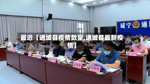 最近【通城县疫情数量,通城县最新疫情】-第2张图片
