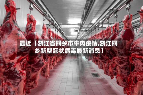 最近【浙江省桐乡市牛肉疫情,浙江桐乡新型冠状病毒最新消息】