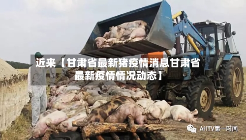 近来【甘肃省最新猪疫情消息甘肃省最新疫情情况动态】