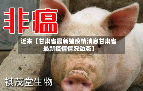 近来【甘肃省最新猪疫情消息甘肃省最新疫情情况动态】-第3张图片