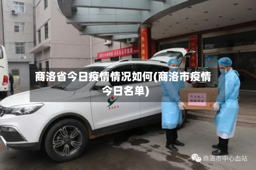 商洛省今日疫情情况如何(商洛市疫情今日名单)-第2张图片