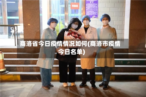 商洛省今日疫情情况如何(商洛市疫情今日名单)