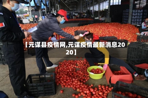 【元谋县疫情网,元谋疫情最新消息2020】-第2张图片