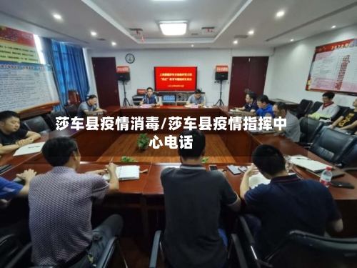 莎车县疫情消毒/莎车县疫情指挥中心电话-第2张图片