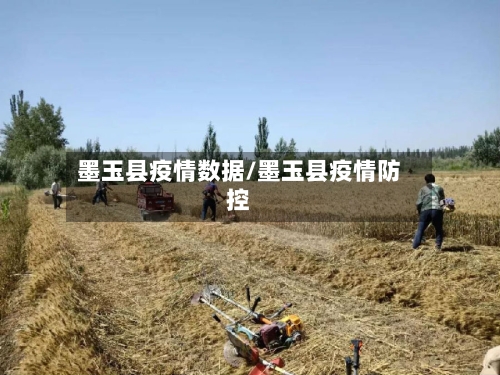 墨玉县疫情数据/墨玉县疫情防控