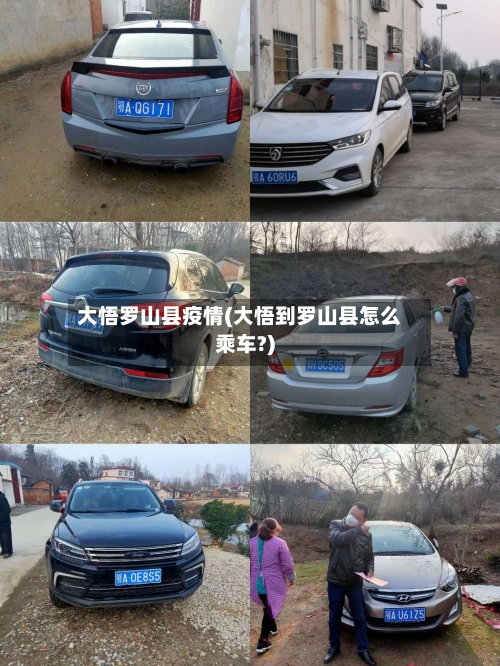 大悟罗山县疫情(大悟到罗山县怎么乘车?)