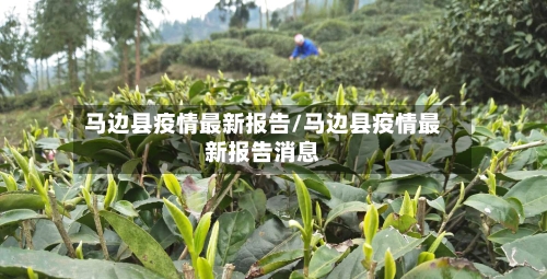 马边县疫情最新报告/马边县疫情最新报告消息